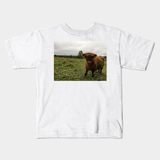 Scottish Highland Cattle Calf 1544 Kids T-Shirt